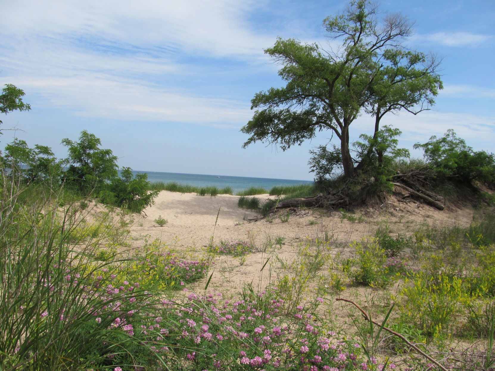 beaches